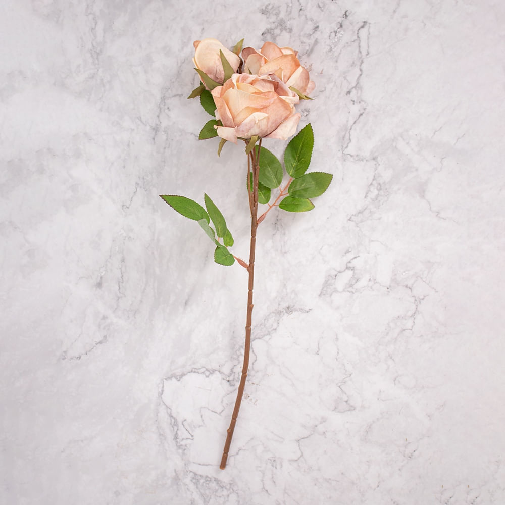 Pack de 2 Rosas Marrón Panorama Hogar