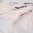 imageUrl_2