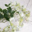 imageUrl_2