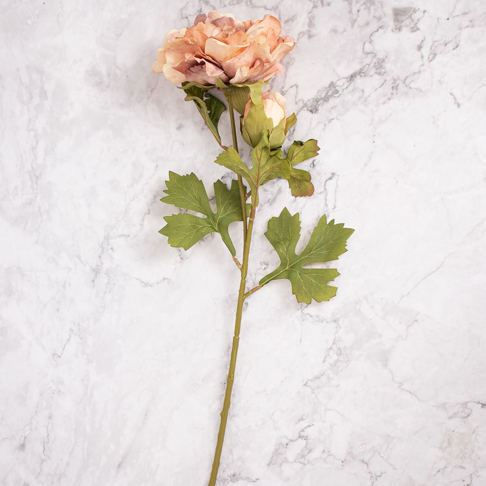 Pack de 2 Peonías Marrón Panorama Hogar