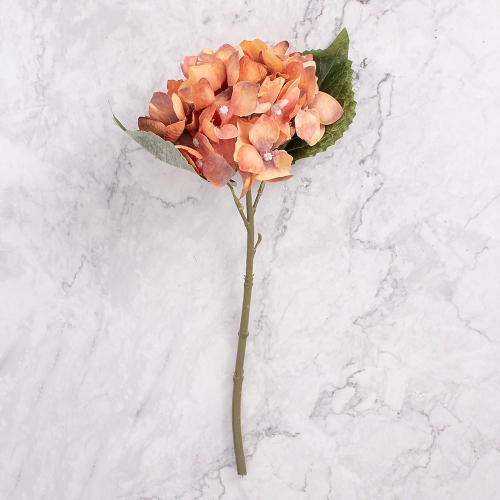 Pack de 2 Hortensias Naranja Panorama Hogar