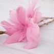 imageUrl_3