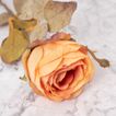 imageUrl_2