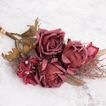 imageUrl_2