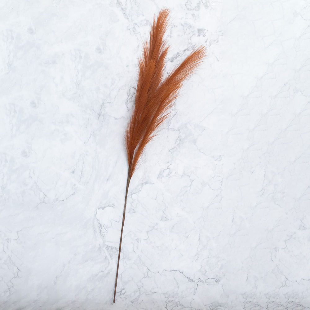 Pack de 2 Plumas Surtidas Aleatorio Panorama Hogar