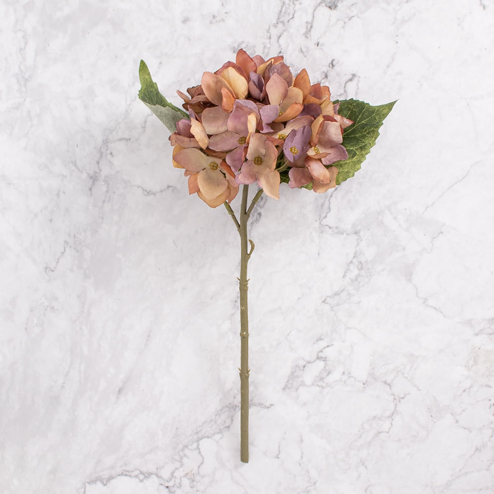 Pack de 2 Hortensias Marrón Panorama Hogar