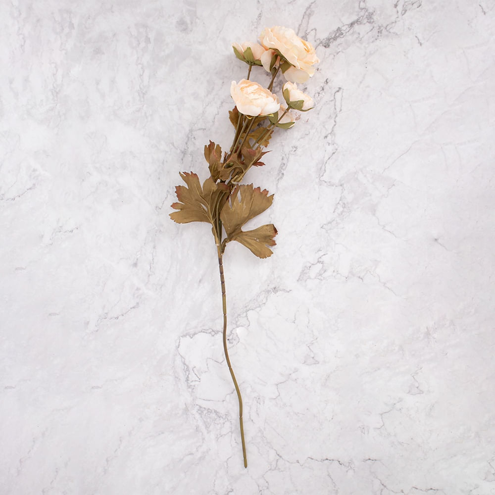 Peonías en Pack de 2 Beige Panorama Hogar