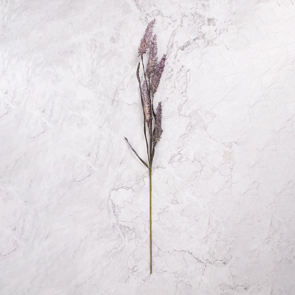 Pack de 2 Follaje Morado Pack de 2 Panorama Hogar