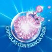 image-baadb02cdbd947cf8765a203ff0cefe5
