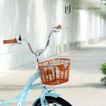 imageUrl_2
