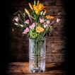 imageUrl_2