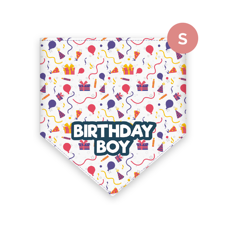 Bandana para mascotas Bandydog! Birthday boy S
