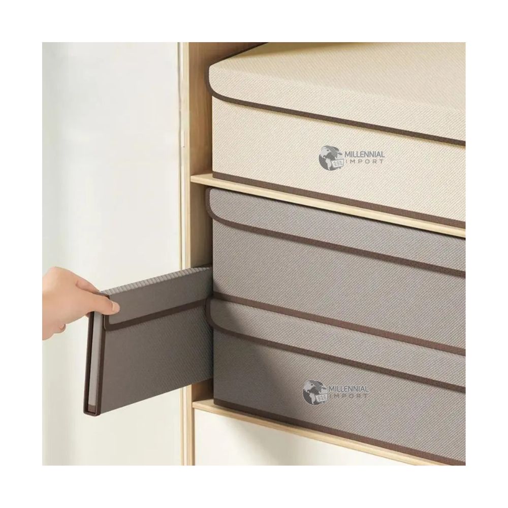 Set de 03 Organizadores de Ropa Interior con Divisiones Multicolor