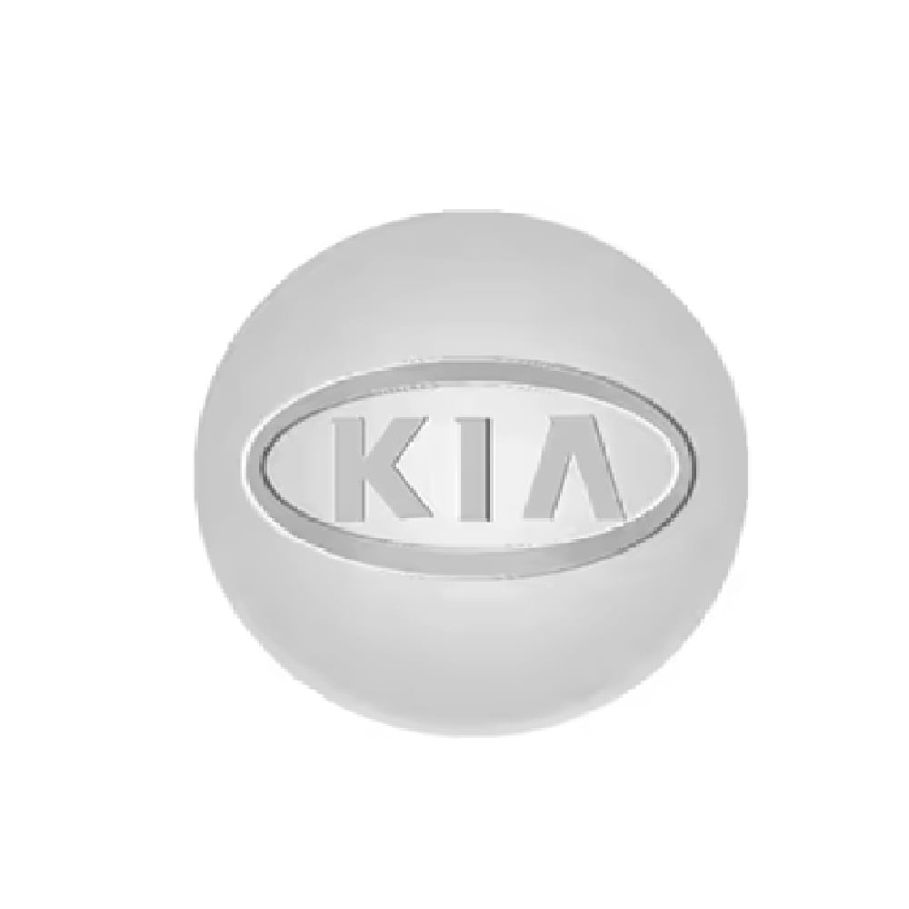 Tapa Central compatible con Aro Kia 58mm (juego 4 Unidades) Plata