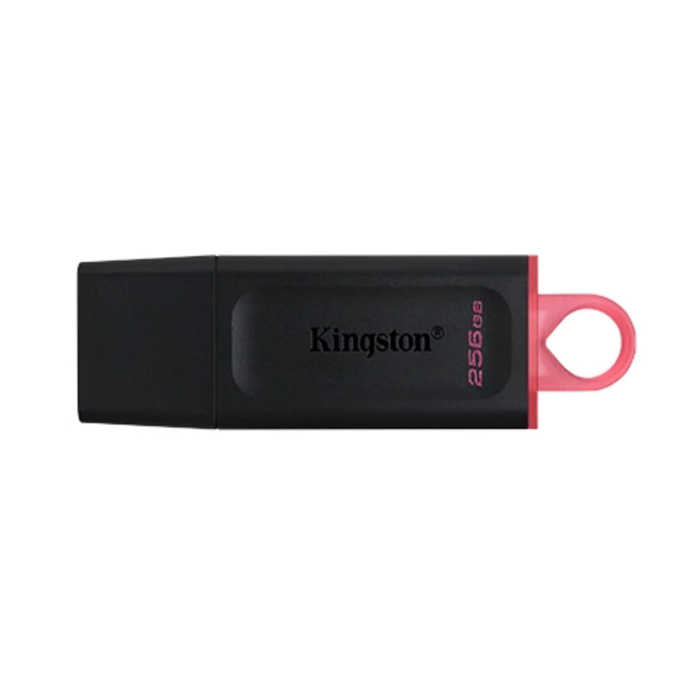 Pendrive Kingston USB 3.2 Gen 1 de 256GB - Alta Velocidad y Diseño Compacto