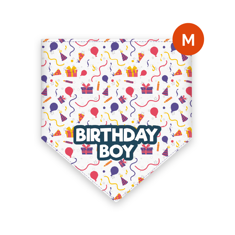 Bandana para mascotas Bandydog! Birthday boy M