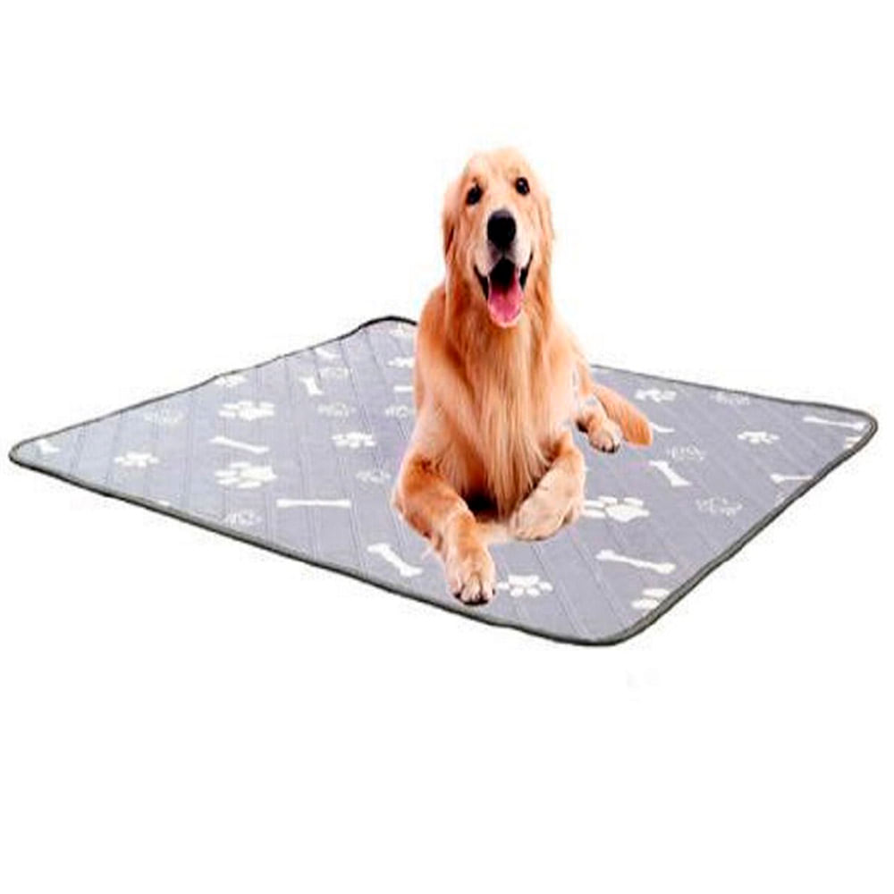 Pañal para Perro Reutilizable Grande Pack x 3 Unidades Pañal para Perro Reutilizable Grande Pack x 3 Unidades