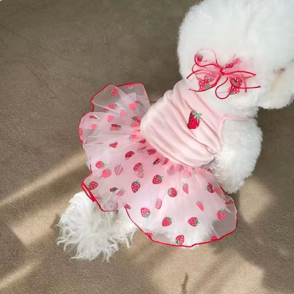 Vestido De Fresa Ropa Disfraz Para Mascotas Vestido De Fresa Ropa Disfraz Para Mascotas