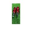 imageUrl_4