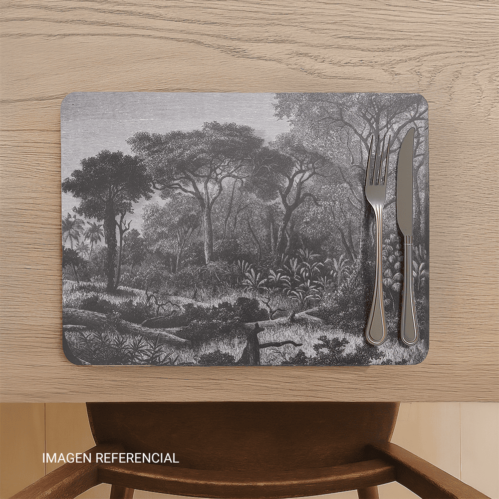 Set de 4 Individuales 30x40cm Urbano Orange