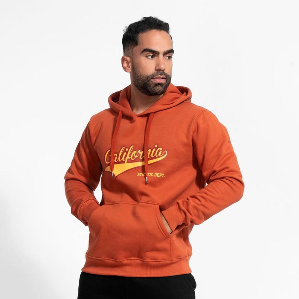 Polera afranelado CALIFORNIA  Bricks Arcoi