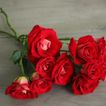imageUrl_4