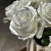 imageUrl_4