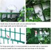 imageUrl_6