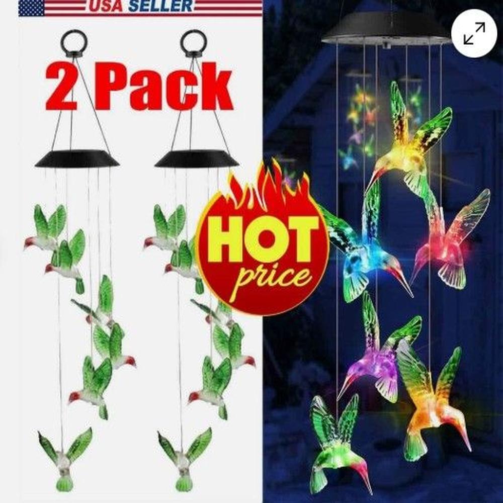 Colibri solar colores tendencia 2025