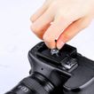 imageUrl_8