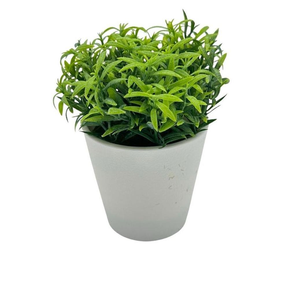 Florero de Espárrago 00130-2 FLORIPASTORE