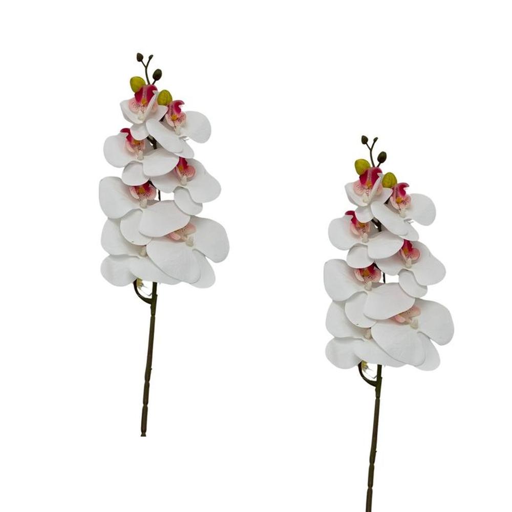 Pack De 2 Vara De Orquidea Mediana BG 301464-6 FLORIPASTORE