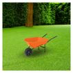 imageUrl_6