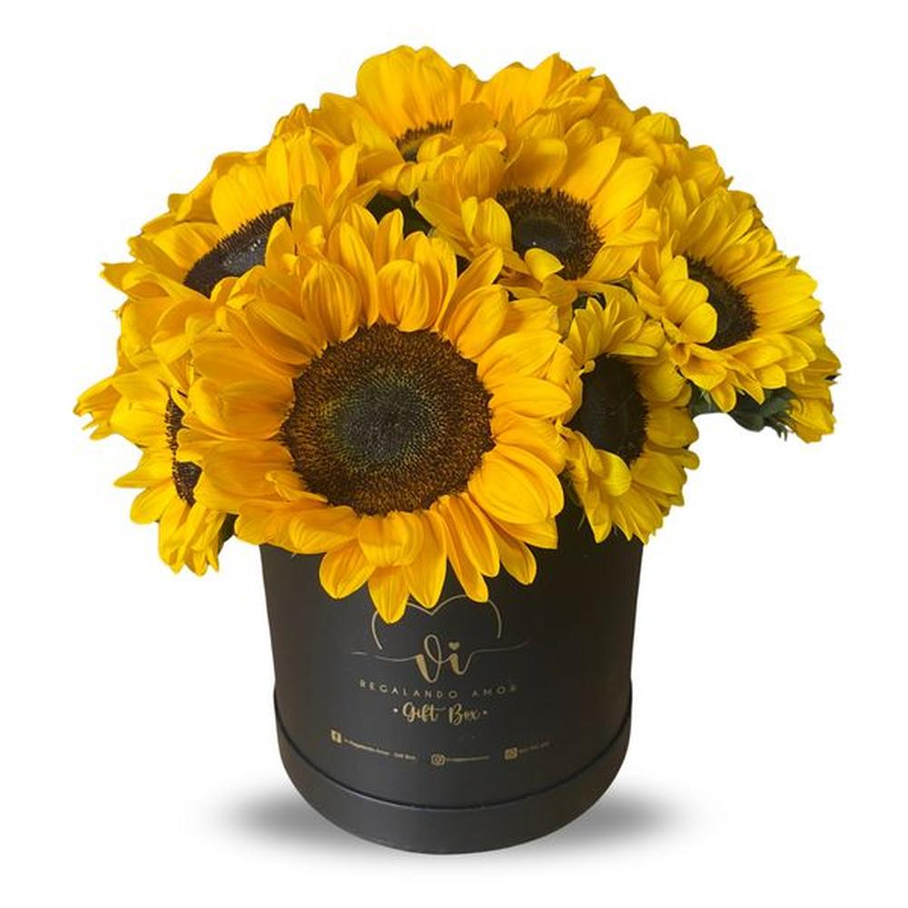 Box Maxima - Ramo de Flores