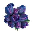 imageUrl_2