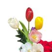 imageUrl_3