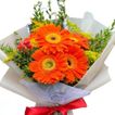 imageUrl_2