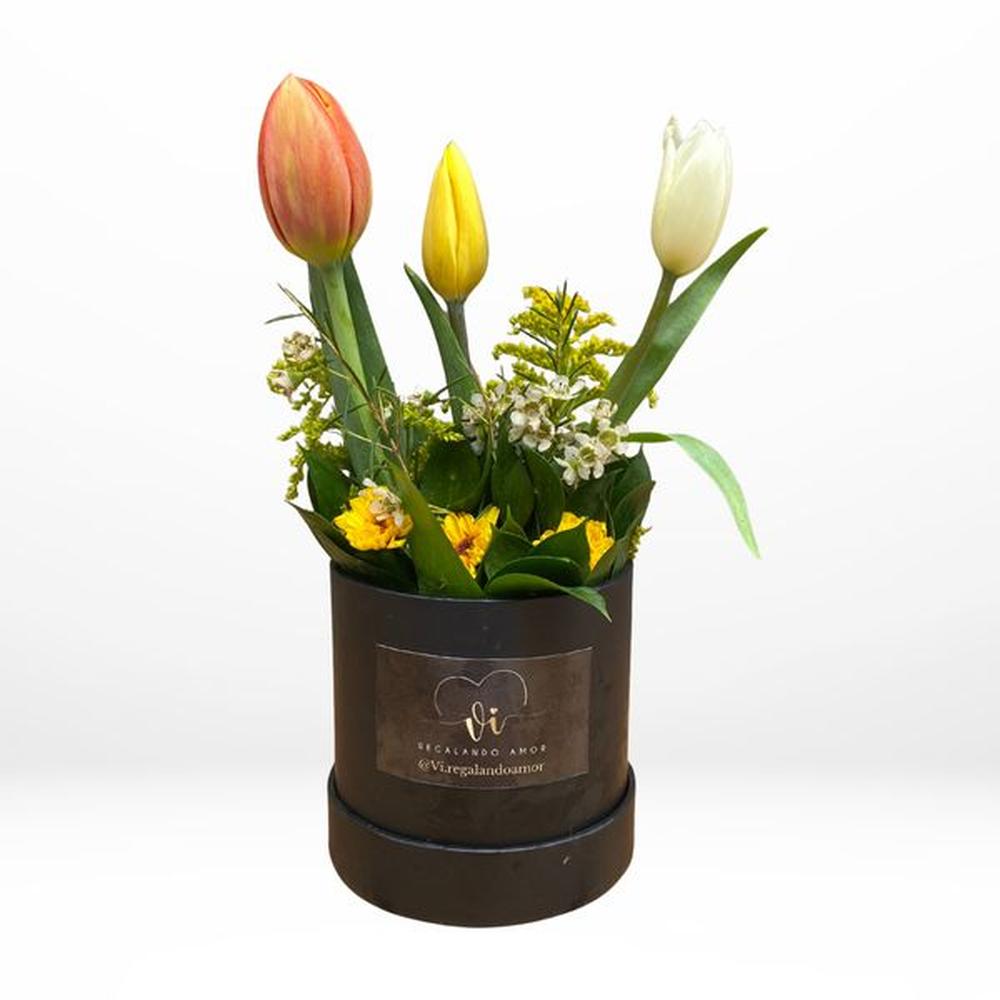 Mini Box Tulipanes Primaverales Flores amarillas