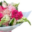 imageUrl_2