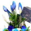 imageUrl_3