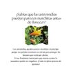 imageUrl_3
