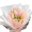 imageUrl_2