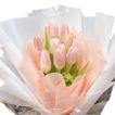 imageUrl_3