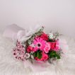 imageUrl_2