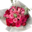 imageUrl_3