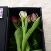 imageUrl_2