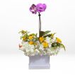 imageUrl_1