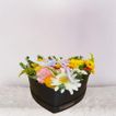 imageUrl_4