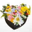 imageUrl_3