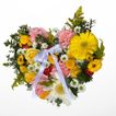 imageUrl_1